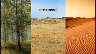 The Steppe Biome - Geography Series