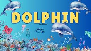 Dolphin Marine Animal for kids Learning | Sea Animals Dolphin Lifestyle for Toddler Learning