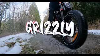 Ariel Rider Grizzly Dual Battery Dual Motor E-bike