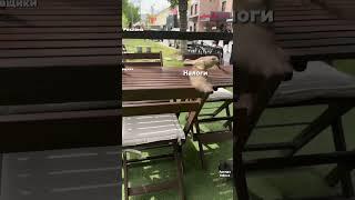 Как заработать денег? Открыть бизнес!