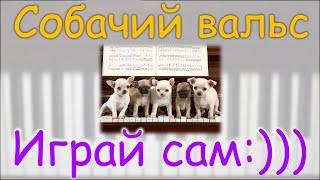 . how to play dog waltz on piano easy  Как играть Собачий вальс Вальс собачек легко ИГРАЙ САМ