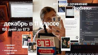 декабрь в 11 классе // итоговое сочинение, пробники ЕГЭ, ночной бот