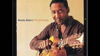 Muddy Waters - Harmonica Rockin'