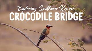 Crocodile Bridge Rest Camp | Kruger National Park