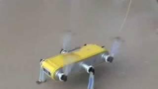 Gait Switch