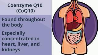 Nutrition for Cardiovascular Health