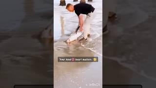 GREATEST🫡 SAVIOURS #superhero #humanity #shorts #shortvideo