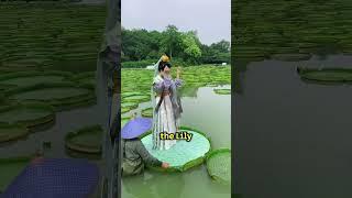 Viral videos part 2 #viralshorts