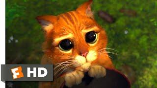 Shrek 2 (2004) - Puss in Boots Scene (3/10) | Movieclips