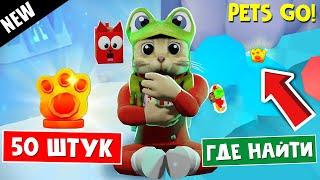 50 РЕЛИКВИЙ в ПЕТС ГО роблокс | PETS GO roblox | Где найти все лапки. Все локации (места)