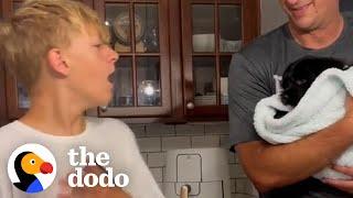 Parents Surprise Their Kids With New Puppies | The Dodo