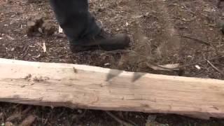 Woodworking with a stone adze