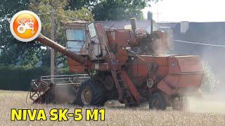 Harvest 2024 | NIVA SK-5 M1 combine