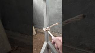 #diyrope #knot #ropework #ropecraft #diy #rope