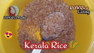 |323|EATING KERALA MATTA Rice|HARD SOUND| TASTY Rice & CRUNCHY TASTE @RAWRiceMadhu