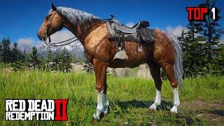 Top 5 Most Beautiful Horses - RDR 2