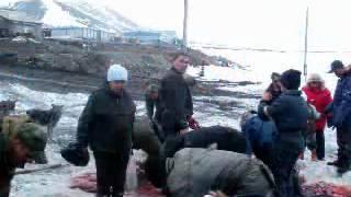 МОРЕ.wmv