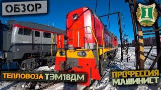 Обзор тепловоза ТЭМ18ДМ