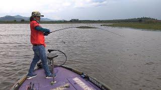 ฝนก็ตกปลาก็จะกิน รอก Zadis Z1   - OWEN-C FishingThailand