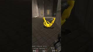 zorre vs shogo (Quake 2) shorts