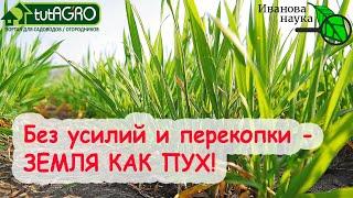 СЕКРЕТ ПЫШНОЙ ЗЕМЛИ. Без ПЕРЕКОПКИ и УСИЛИЙ - земля КАК ПУХ! Отличное средство - БИШОФИТ.