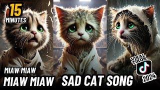 15 Minutes Miaw miaw miaw miaw Viral Song sad in Tiktok 2024 #cat #aicat #catlover