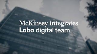 McKinsey & Company acquires team from LOBO digital agency