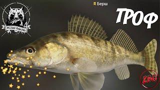 БЕРШ - ТРОФ - р. СУРА  РУССКАЯ РЫБАЛКА 4 | RUSSIAN FISHING 4@Z-B-G ​