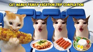 CAT MEMES Family Vacation Trip Compilation