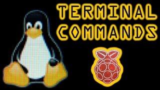 Linux Terminal Commands on the Raspberry Pi