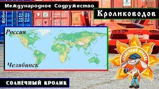 Кролики Челябинска (ЕвроФерма)