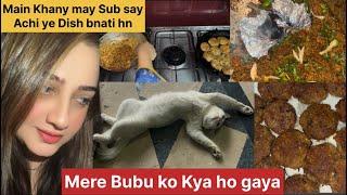 Mere Cat ki Ye Halat kesy hoi BuBu ko kya ho Gaya || Main Khany May Sub say Achi ye Dish bnati hn