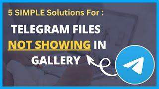 How to FIX Telegram Photos Not Showing in Gallery [5 WAYS!] | Telegram Files Not Showing