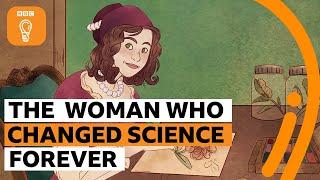 The incredible life of Maria Sibylla Merian | The Royal Society