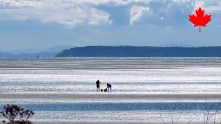 【Surrey 2023】 1 Minute -Crescent Beach-3