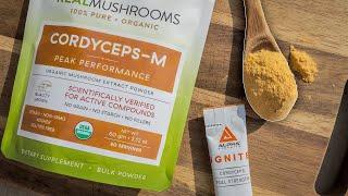 CORDYCEPS 101 | Everything You Need To Know