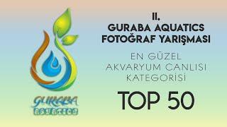 II. GA. ÖDÜLLÜ FOTOĞRAF YARIŞMASI | EN GÜZEL AKVARYUM CANLISI KATEGORİSİ - TOP 50! | EN İYİ 50KATILM