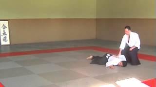 EnShiro Dojo Salzburg Techniken Ushiro-Waza & Ryote-dori