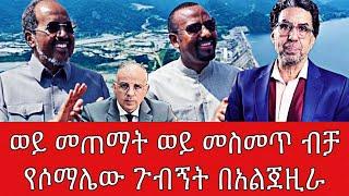 ወይ መጠማት ወይ መስመጥ ብቻ የሶማሌው ጉብኝት በአልጀዚራ