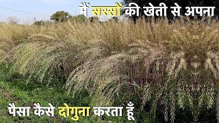 How to do profitable Mustard farming !! सरसों की खेती