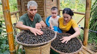 Harvest Snail and bring them to the market to sell - Cooking | Tin's Daily life