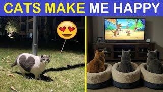 ‘Cats Make Me Happy’: Cat Memes To Make You Smile And Laugh | Happy And Fun