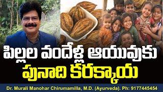 పిల్లల వందేళ్ల ఆయువుకు పునాది కరక్కాయ! Health Benefits of karakaya.