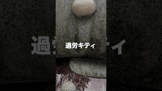 サンリオ・ハローキティが「惨リオ・過労キティ」だった。#shorts #コメディ