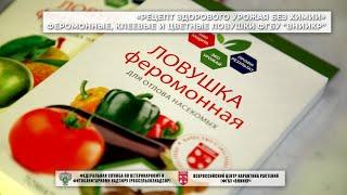 «Рецепт здорового урожая без химии». Феромонные, клеевые и цветные ловушки ФГБУ «ВНИИКР»