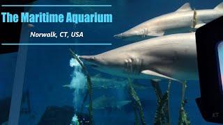 The Maritime Aquarium, Norwalk, CT, USA - Very Nice Aquarium in Connecticut