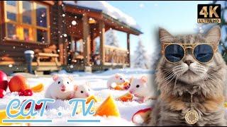 Cat TV for Cats  | Playful Mice Running, Digging & Nesting | Hours of Relaxing Fun