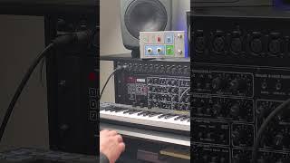 Discover the Behringer PRO800! Watch as we explore random presets and unveil unique sounds.