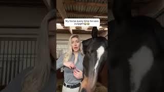 funny horse #funnyanimals  #funnyvideos #funny#horse  #funnyhorse#animals