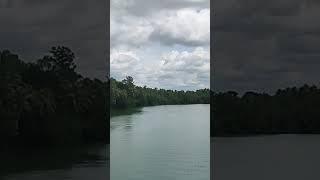 #journey #railway #kerala #nature #lakes